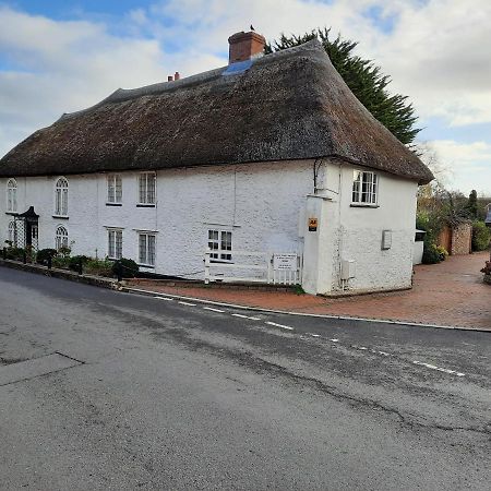 The White Cottage Colyton Экстерьер фото