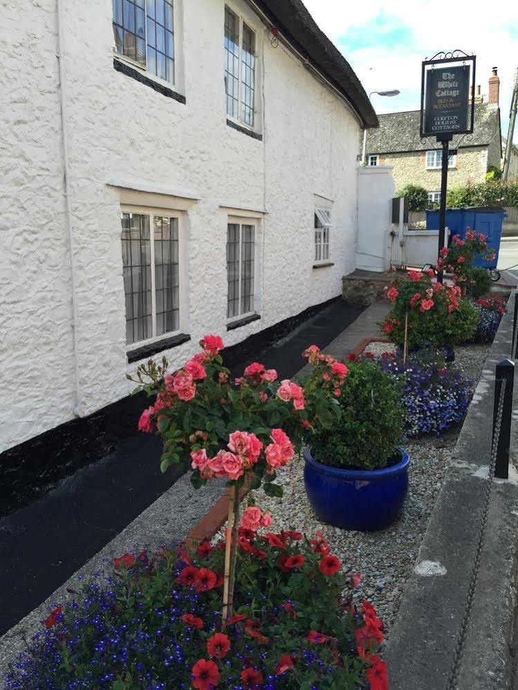 The White Cottage Colyton Экстерьер фото